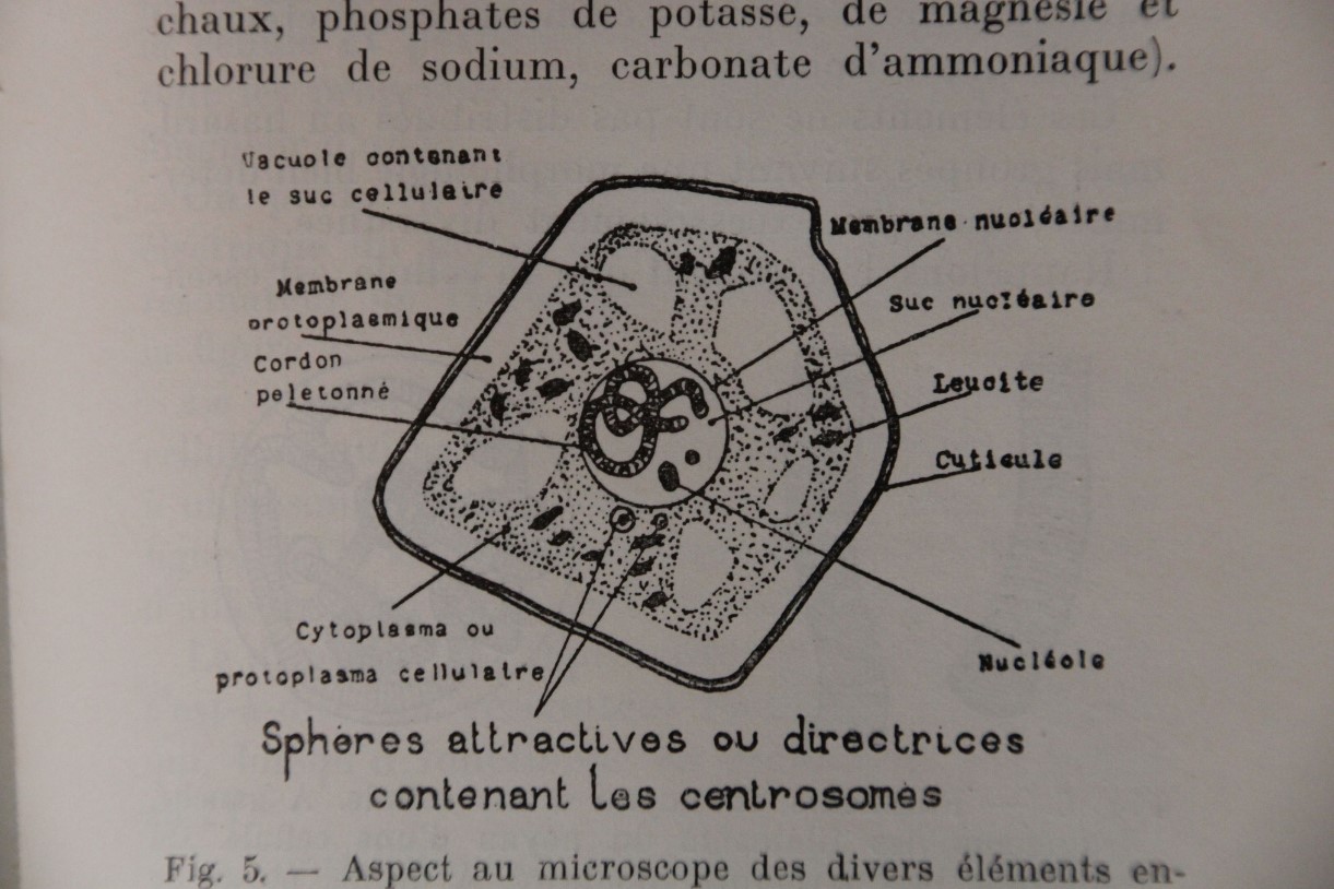 Image link
